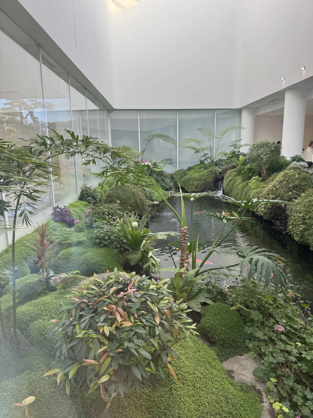 🦢在天然氧吧的下午茶