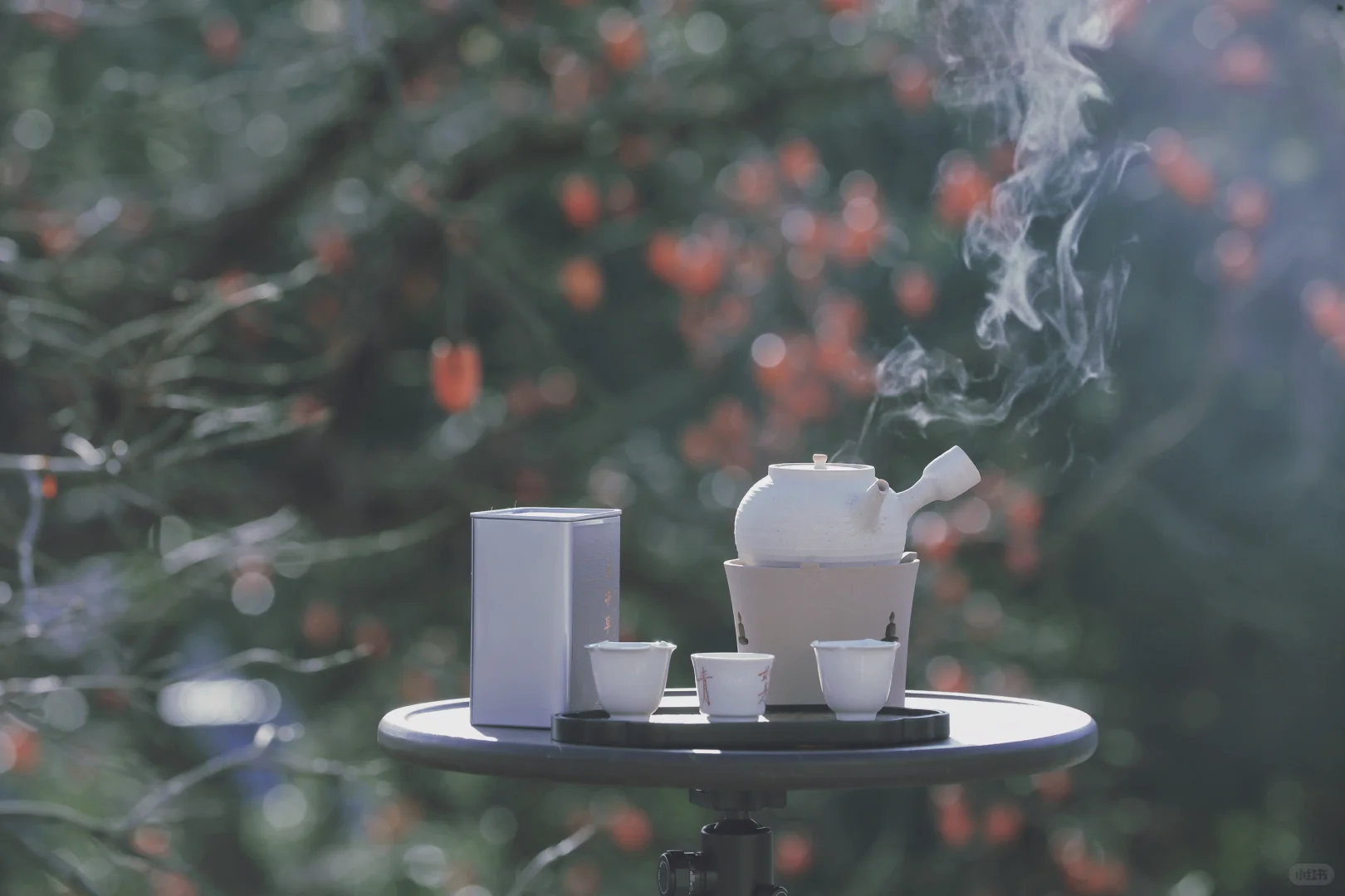 花柿灯如昼｜开始期待西炉村的柿子了。