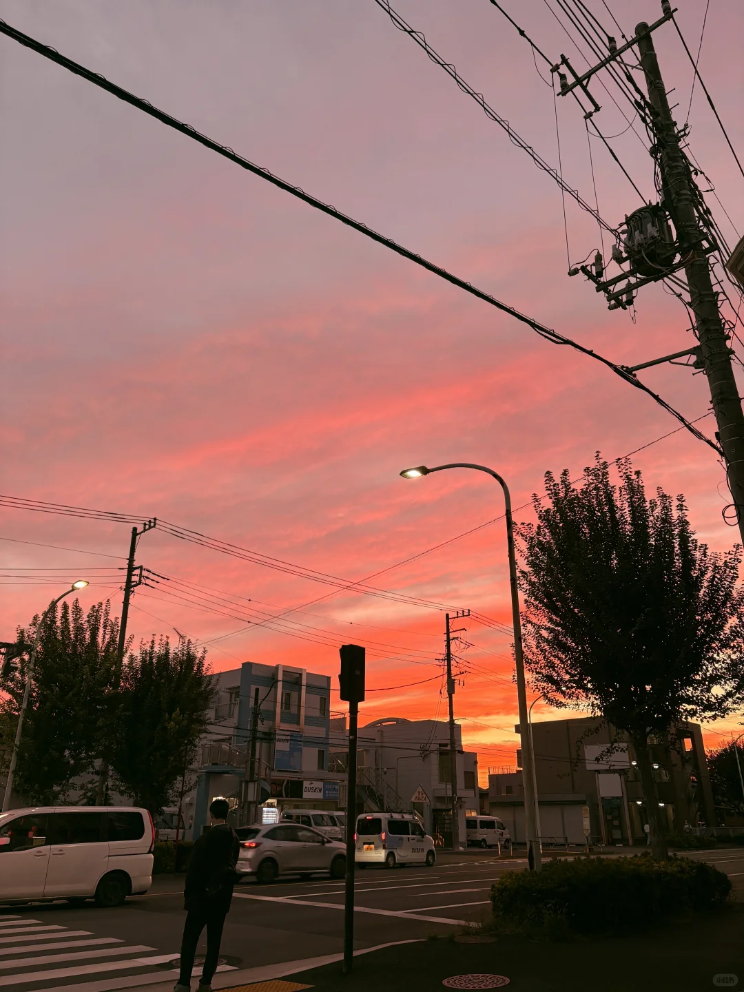 妖艳啊