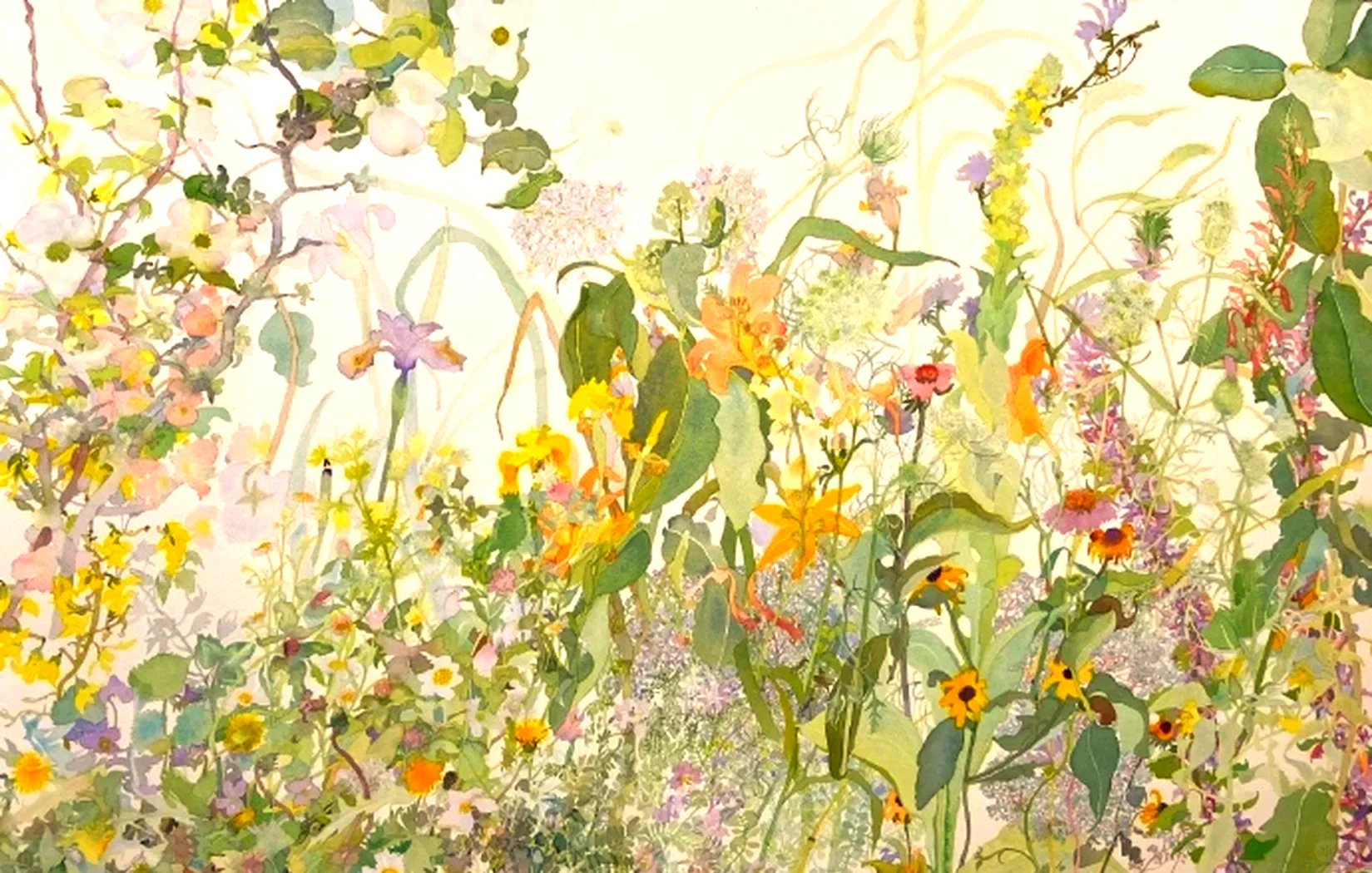 🎨✨微观草木里的生命诗学✨🎨