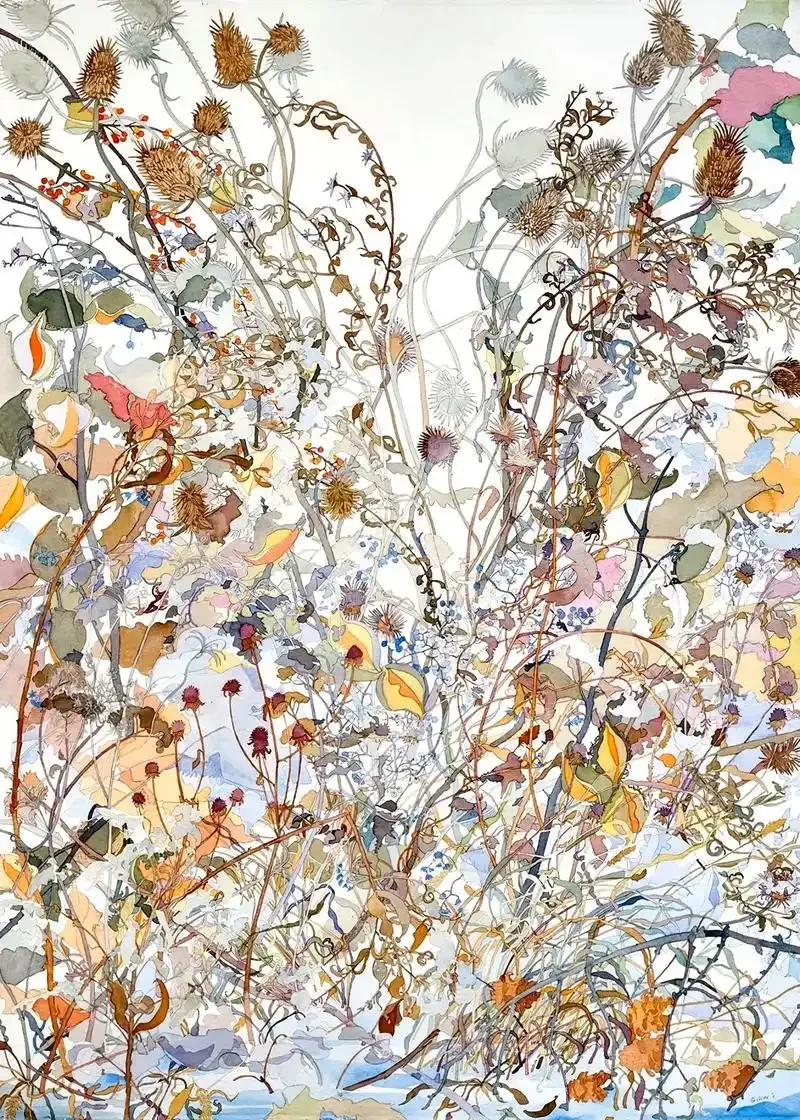🎨✨微观草木里的生命诗学✨🎨