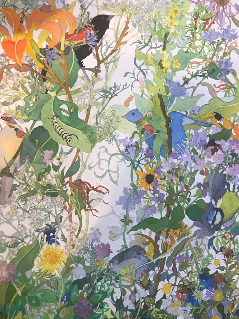 🎨✨微观草木里的生命诗学✨🎨