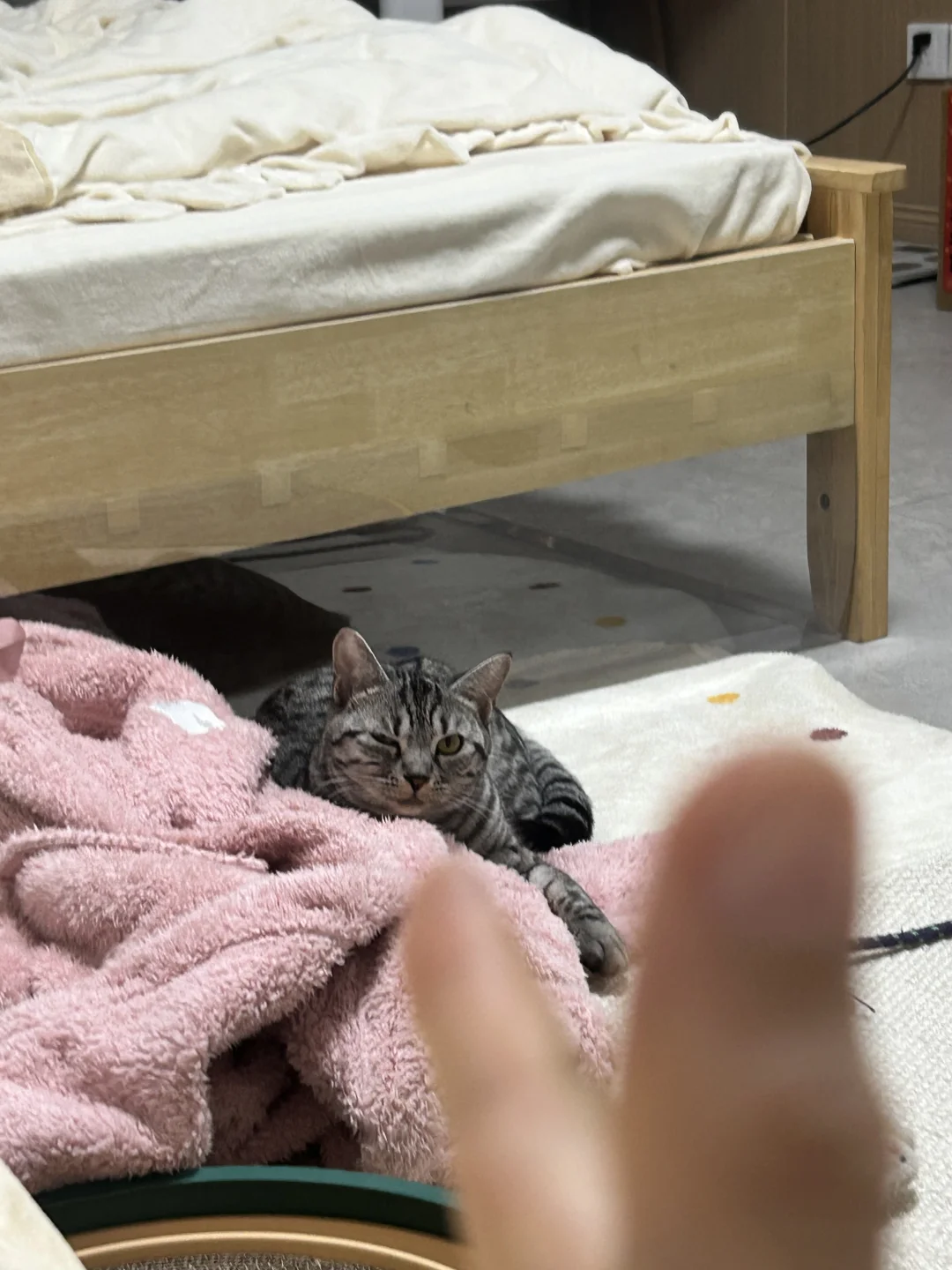 总给我抛媚眼