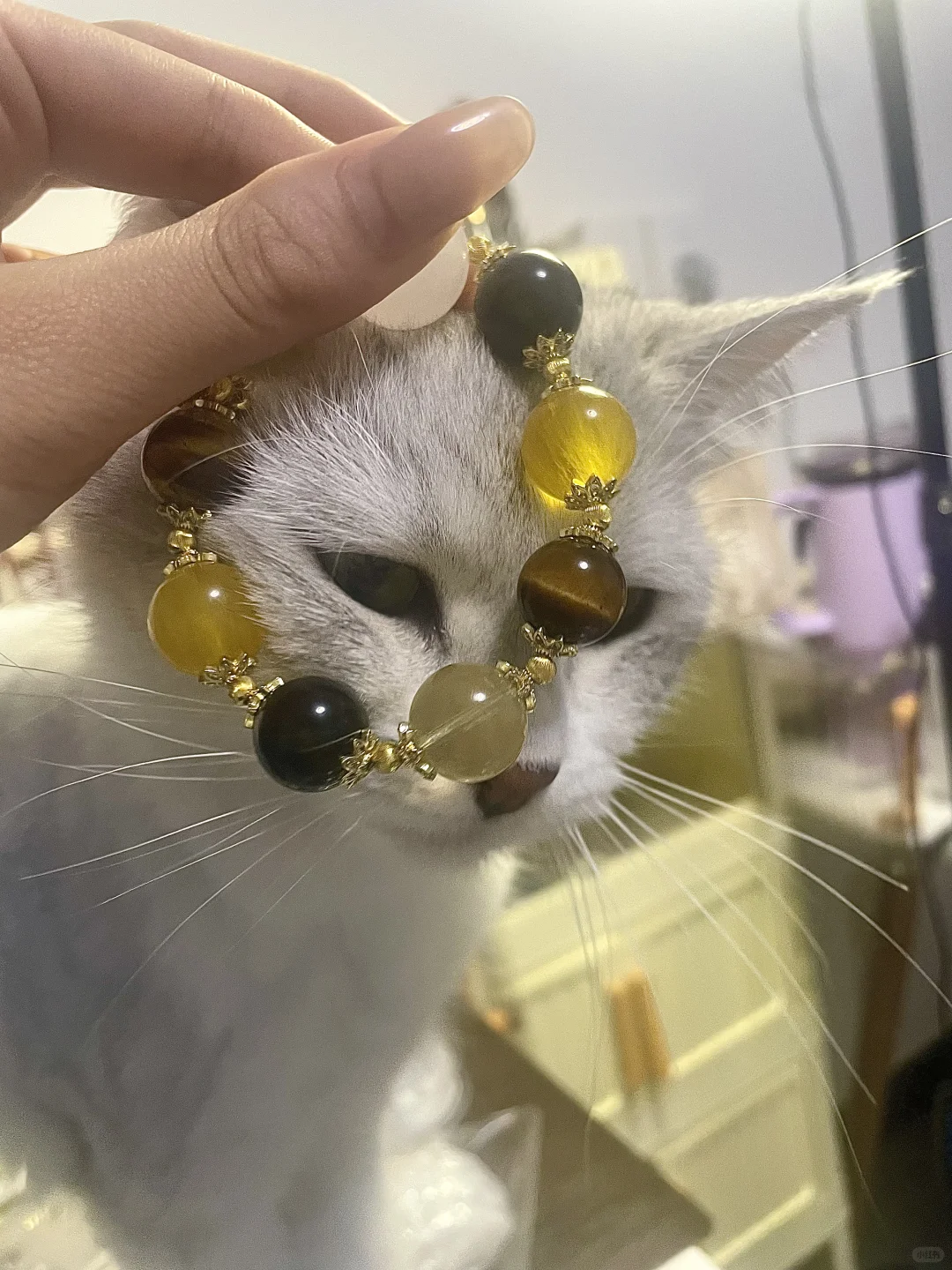 给姨姨们抛媚眼