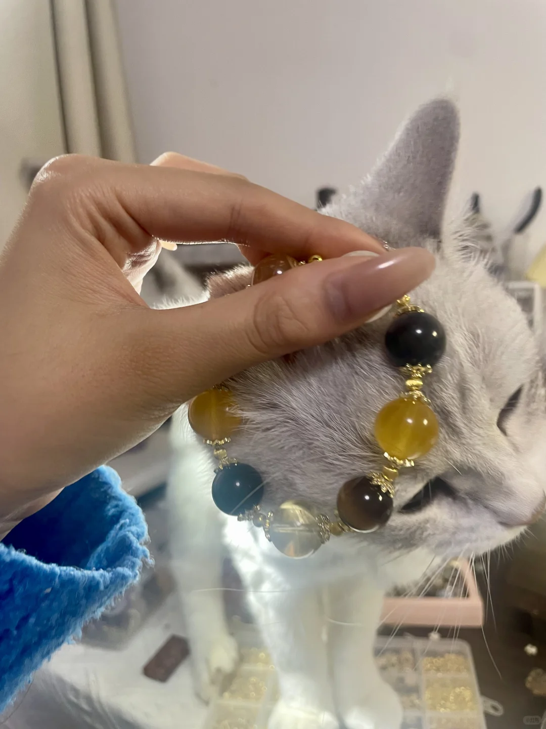 给姨姨们抛媚眼
