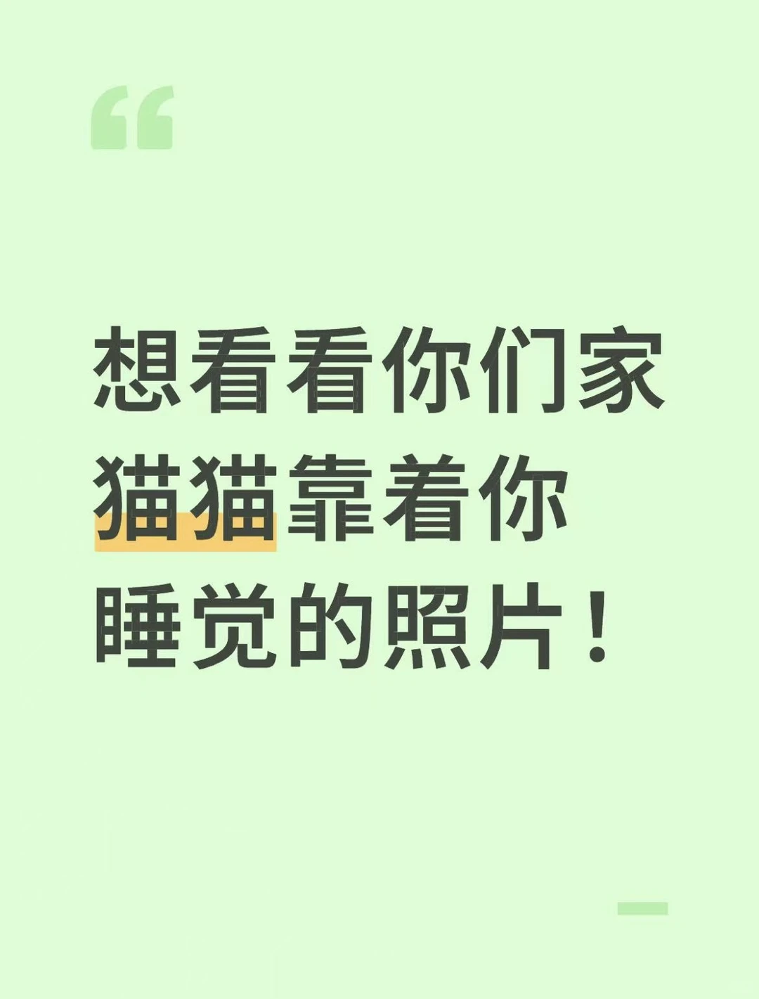 想看看你们家猫猫靠着你睡觉的照片！