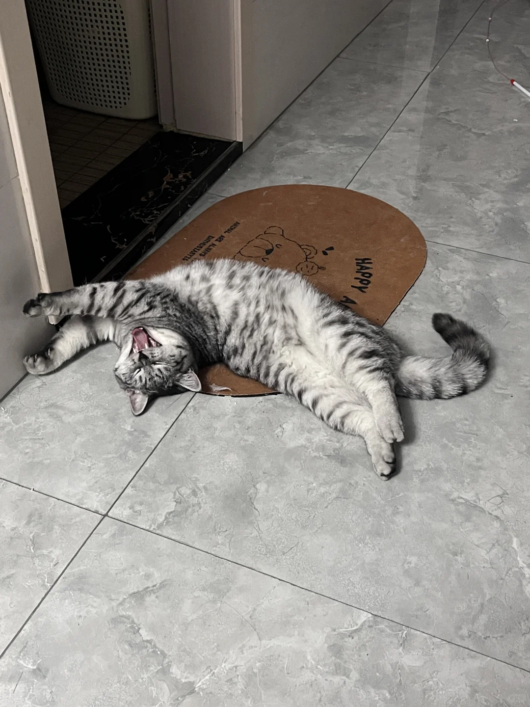 咋这么妖娆呢