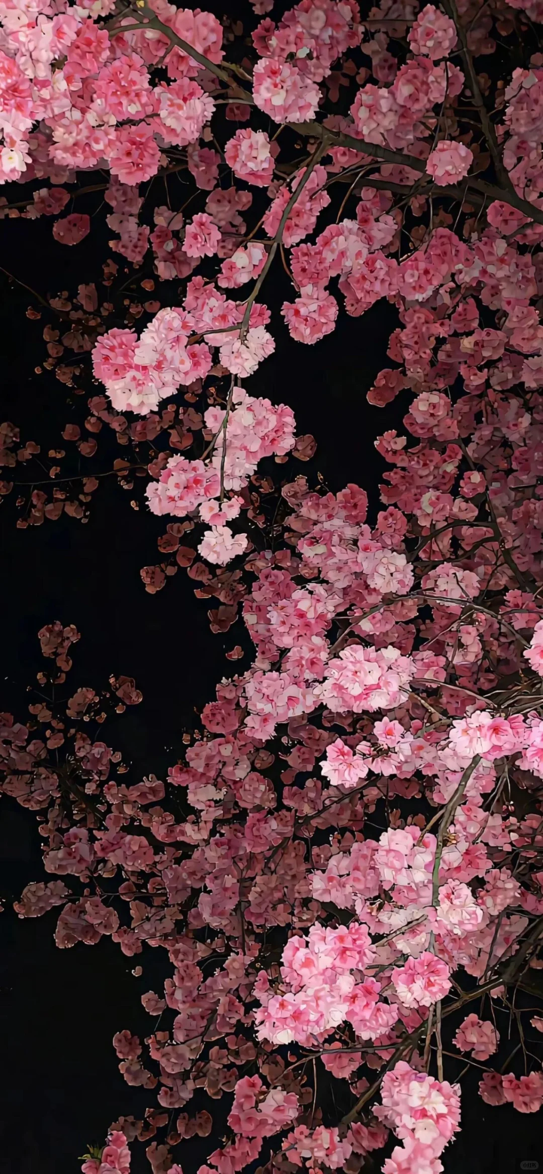 分享壁纸｜iOS26 3D 空间壁纸