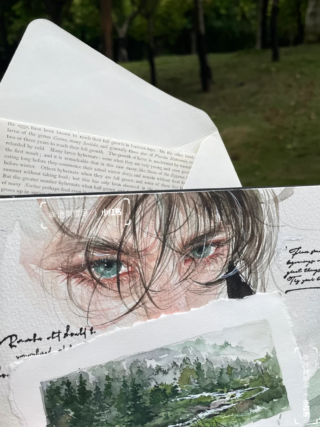 𝚂𝚌𝚘𝚝𝚝𝚒𝚜𝚑 𝙵𝚘𝚛𝚎𝚜𝚝⛰️拂晓森林