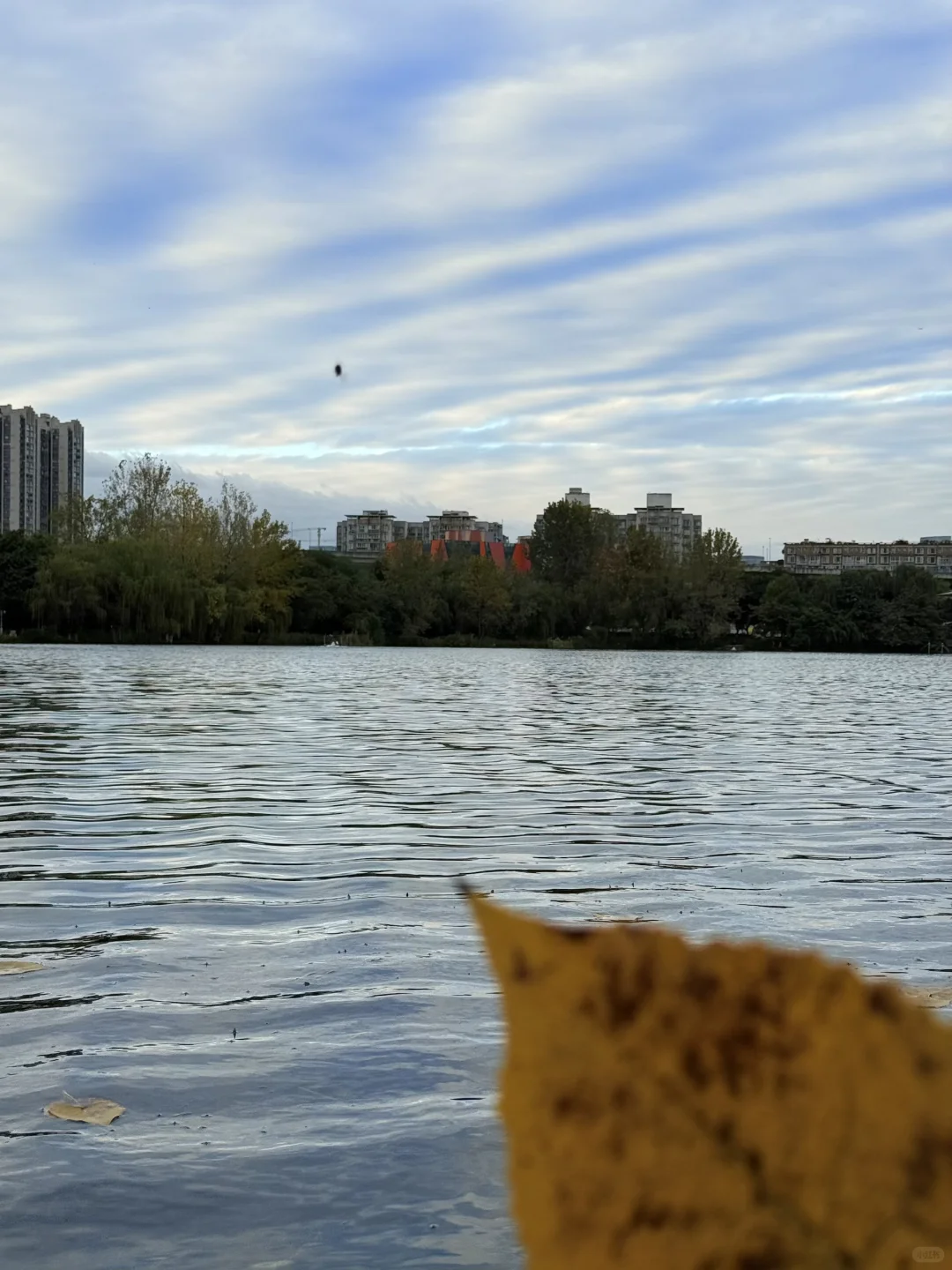 158/102/80F｜秋冬显瘦穿搭分享🍂