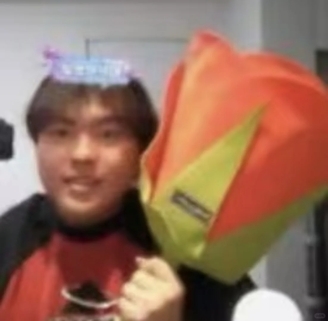 桃黑黑表情包