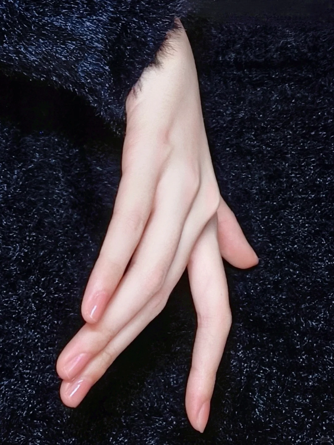 康康手