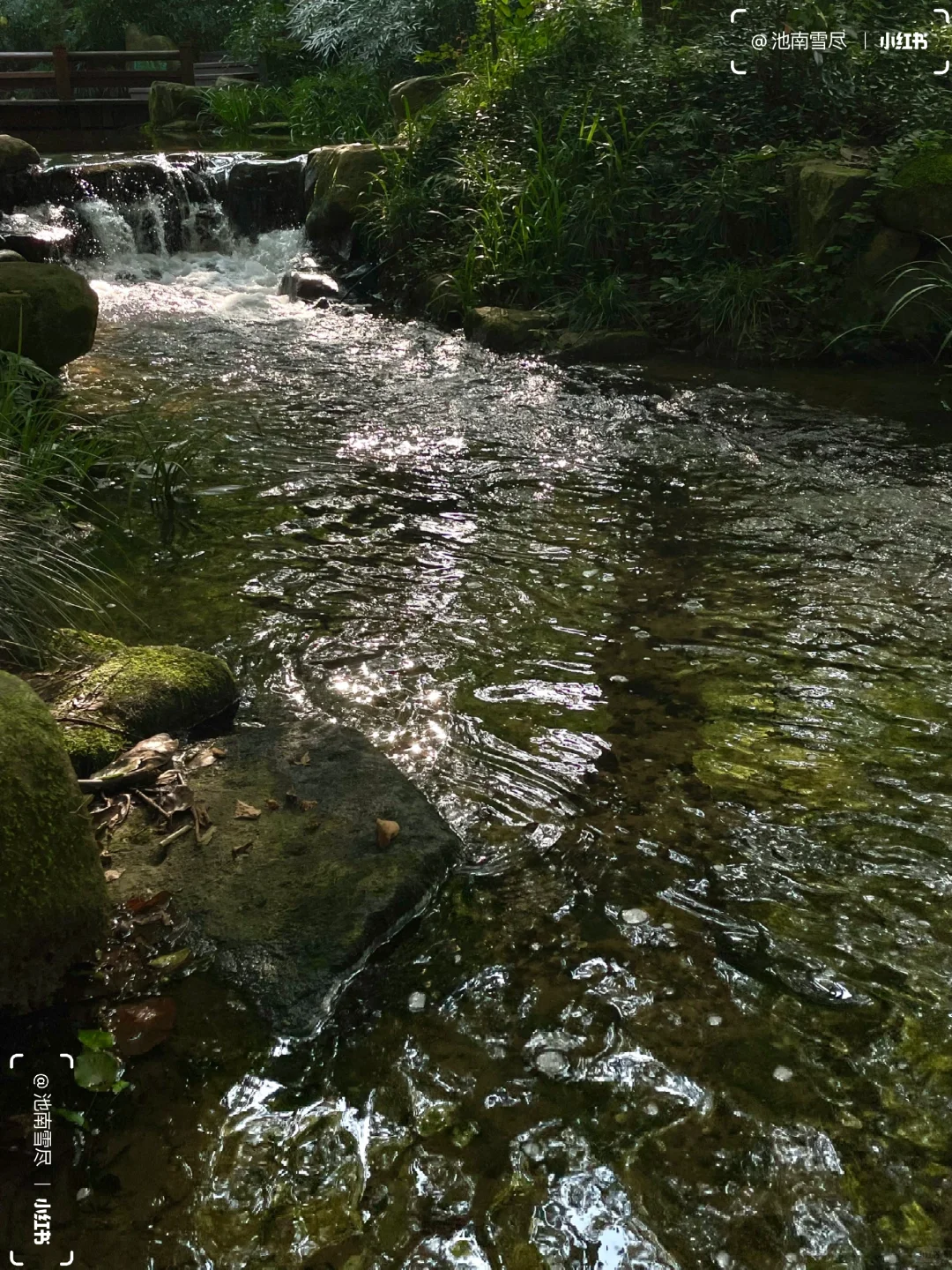𝚂𝚌𝚘𝚝𝚝𝚒𝚜𝚑 𝙵𝚘𝚛𝚎𝚜𝚝⛰️拂晓森林