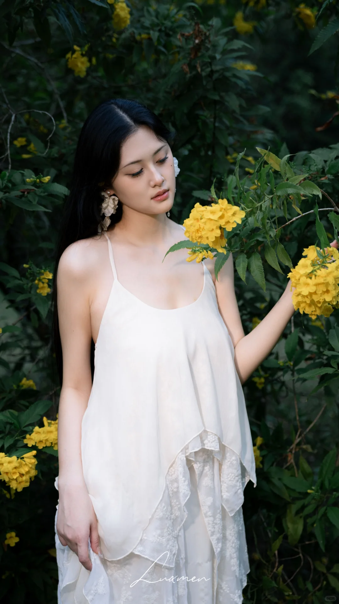 漫步在 秋风还未到达的森林