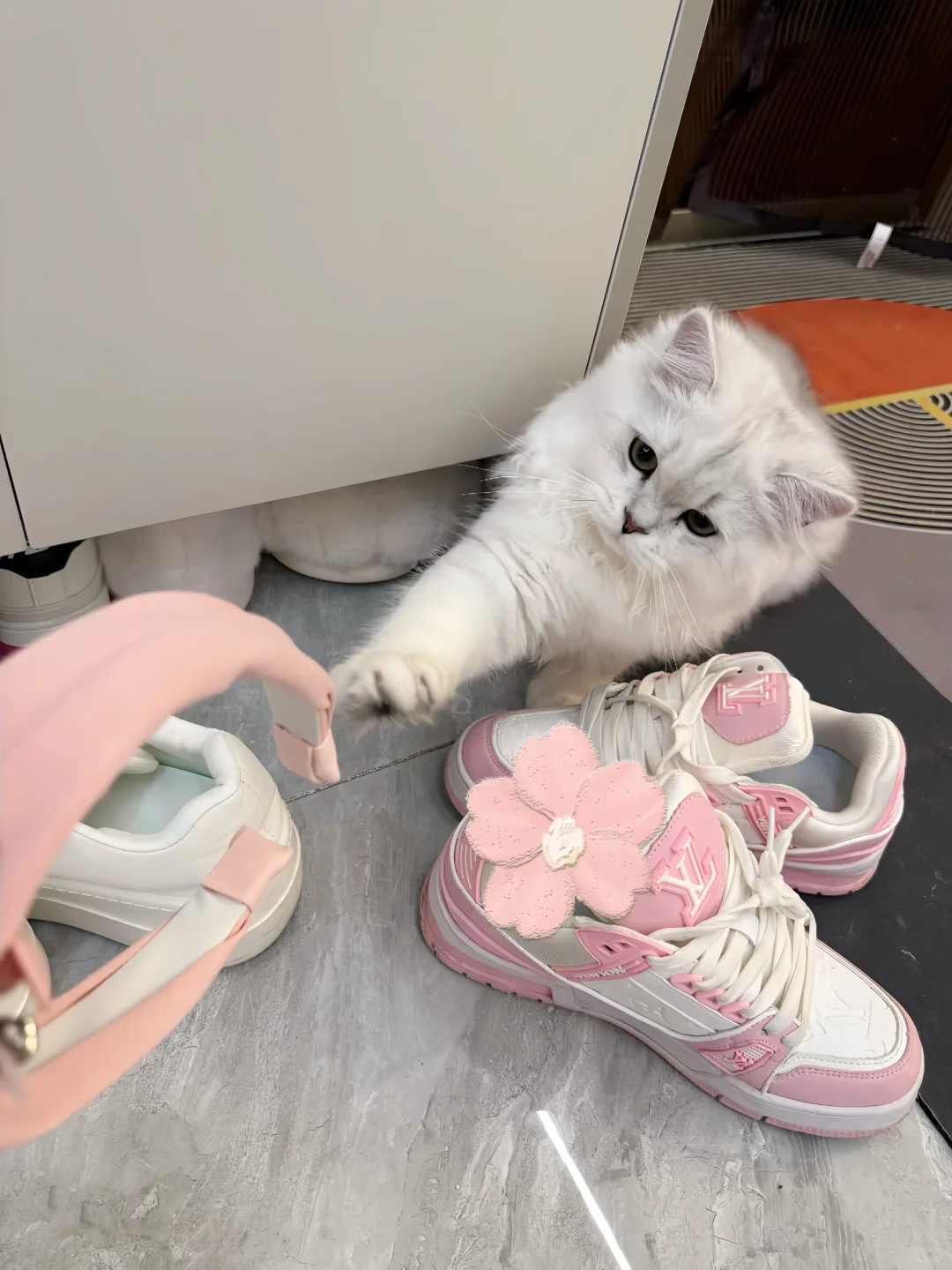 早期嫩模👩🏼