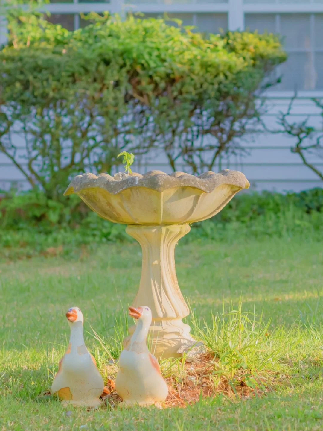 日系春天壁纸