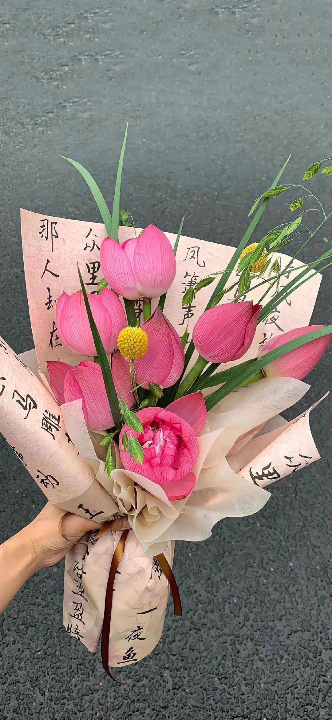 苹果精美壁纸