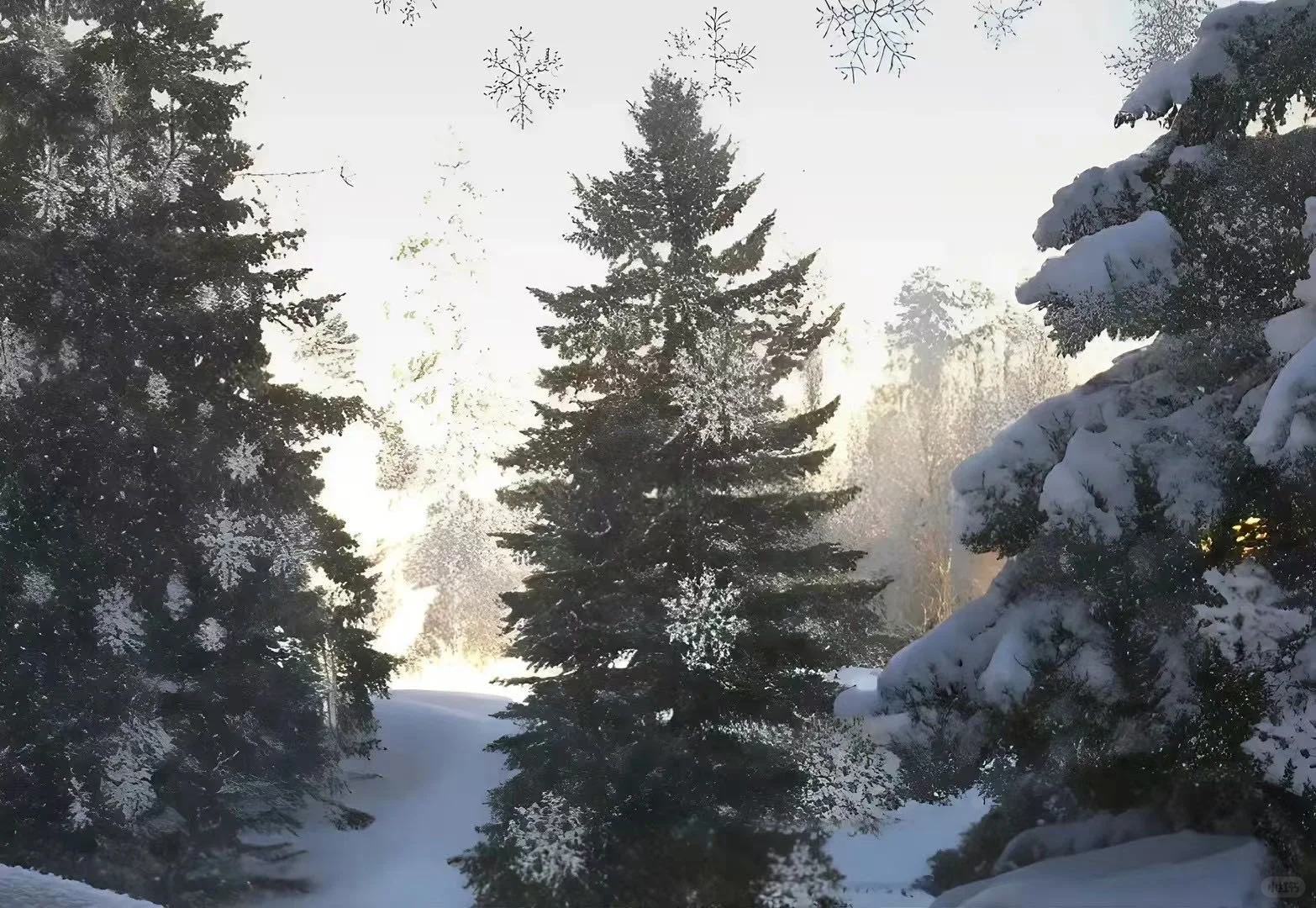 ipad雪景壁纸