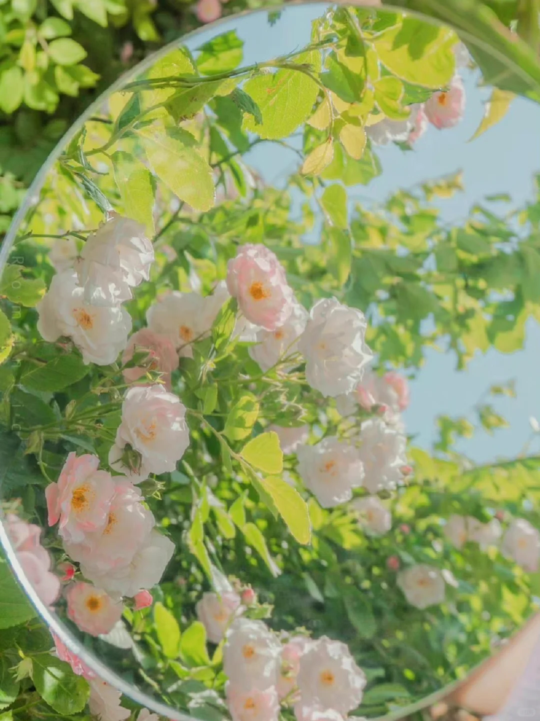 日系春天壁纸