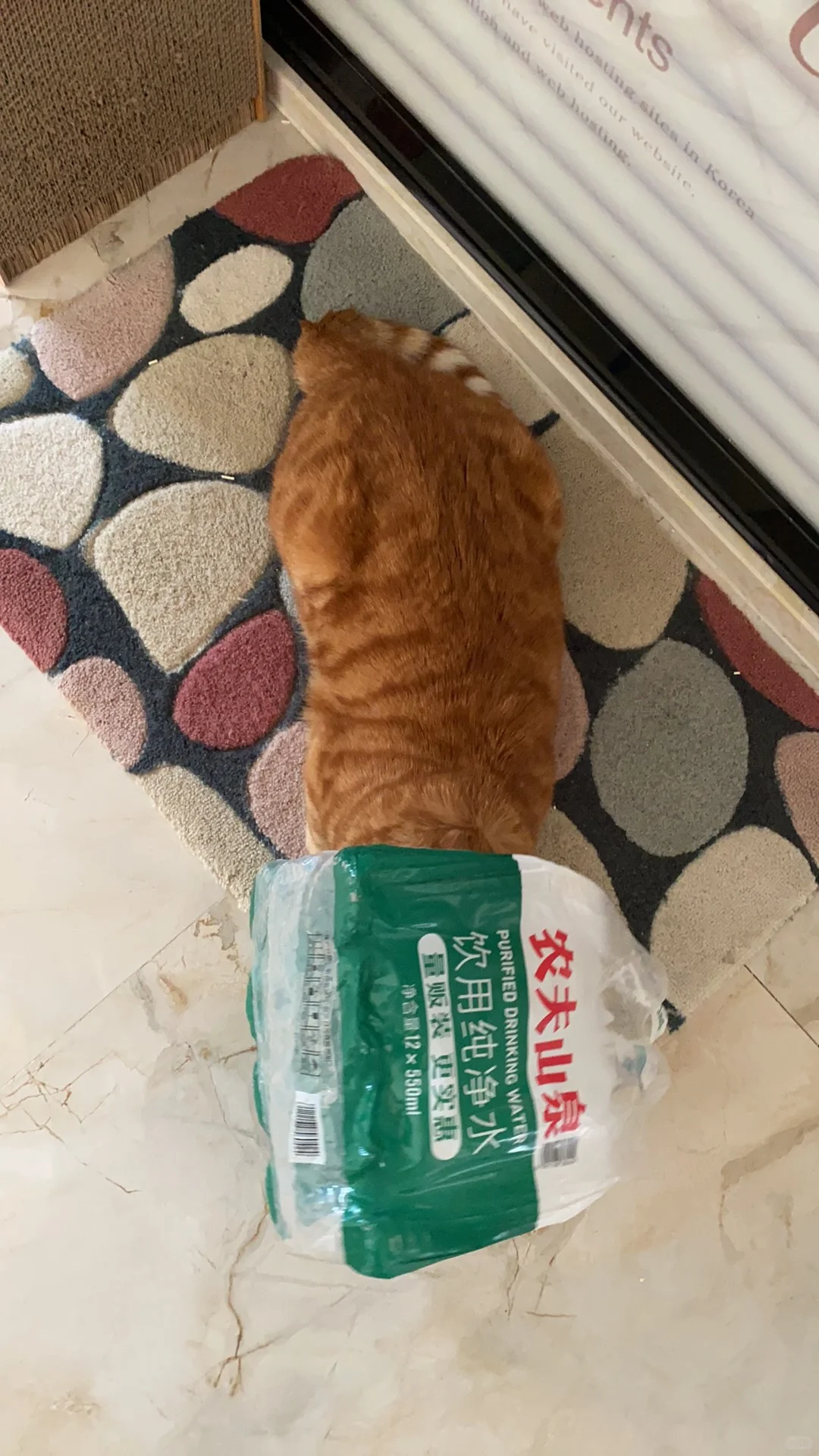 慢跑打卡