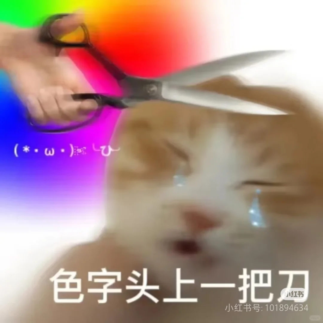鱼骨胸衣请焊死在我身上