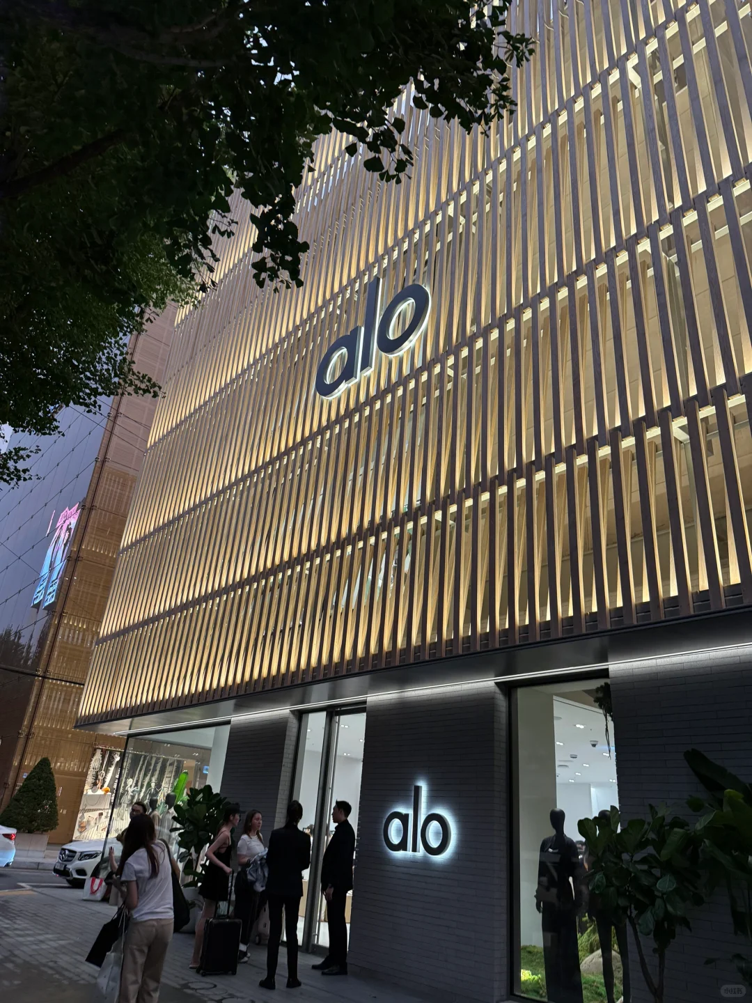 认识新品牌alo