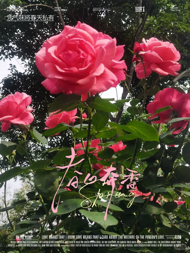 如此香艳