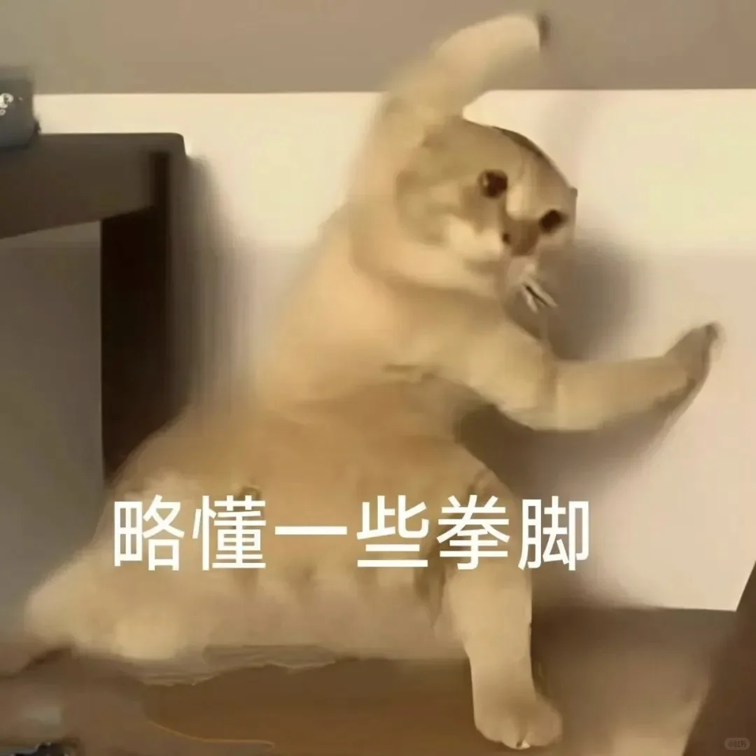 全方面完蛋！！！