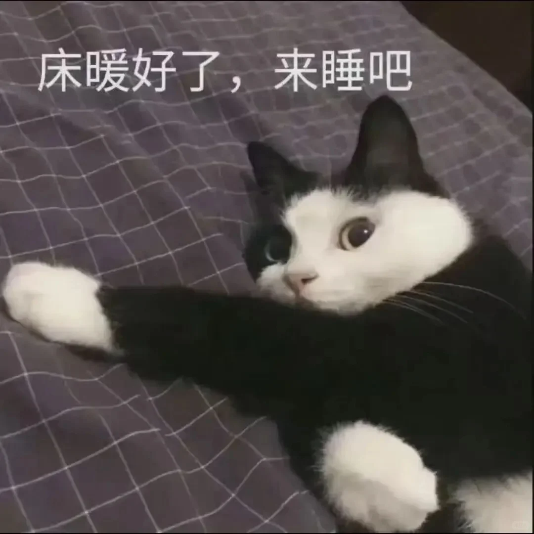 全方面完蛋！！！