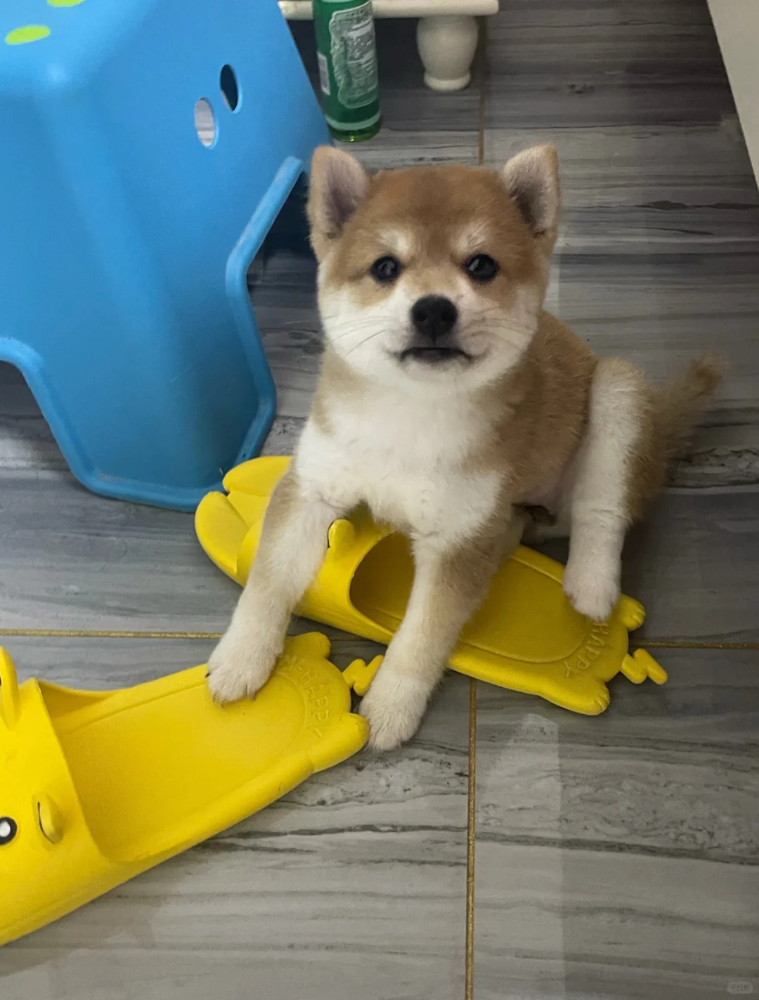 来个wink