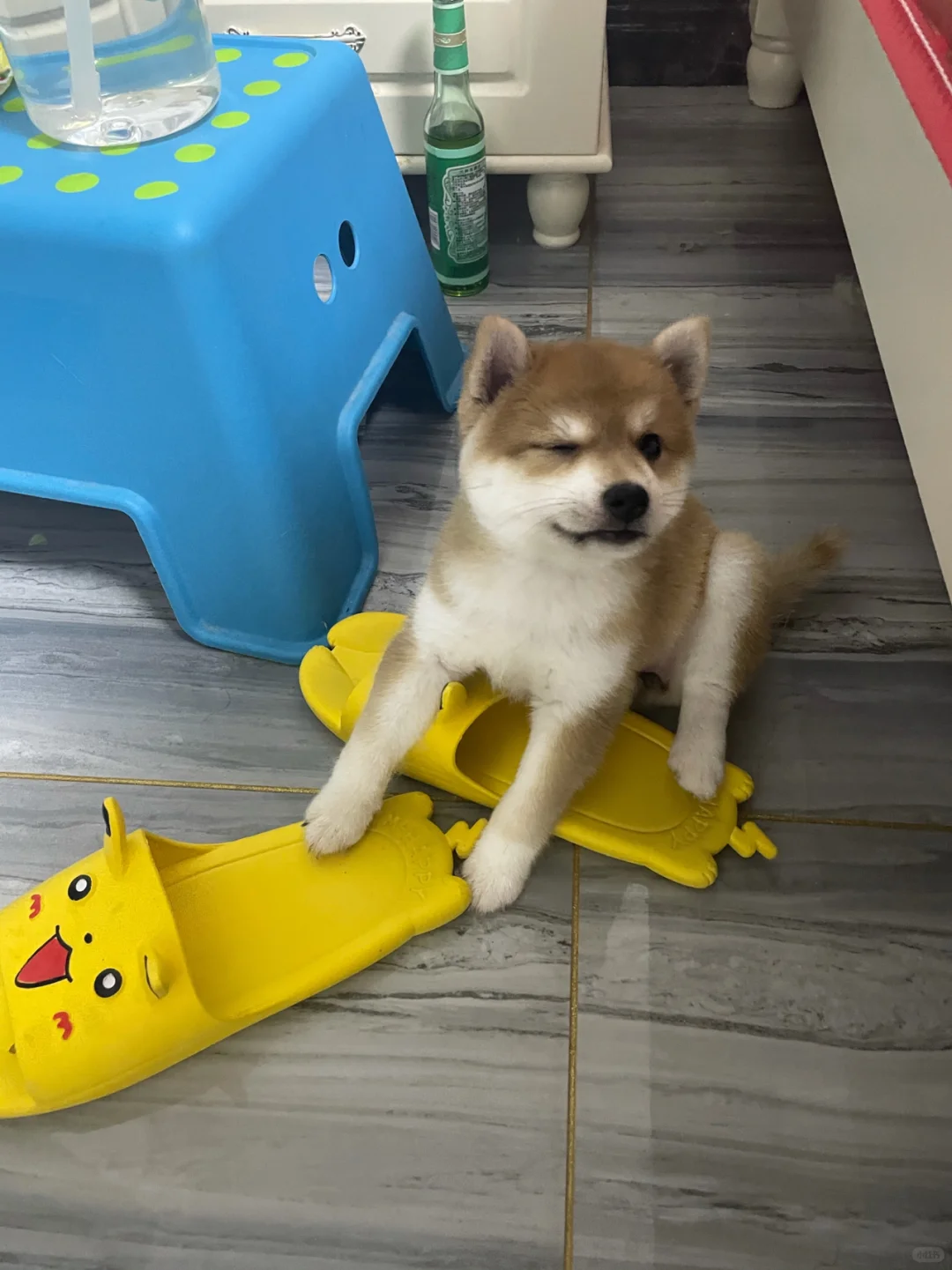 来个wink