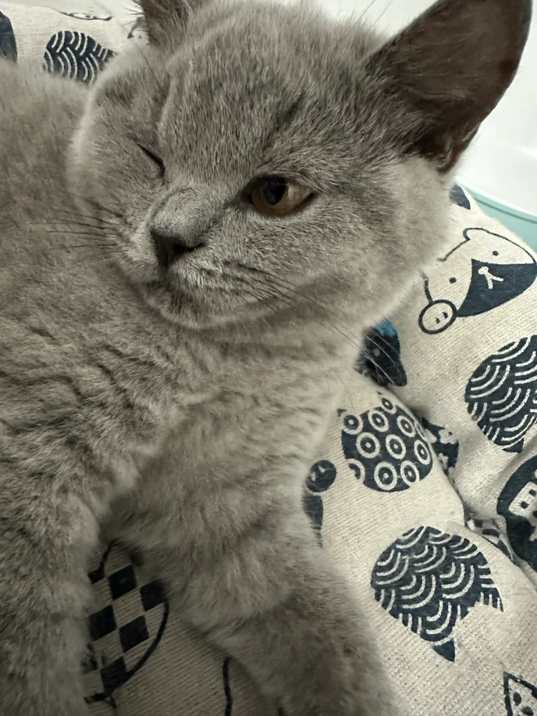 抛媚眼😉