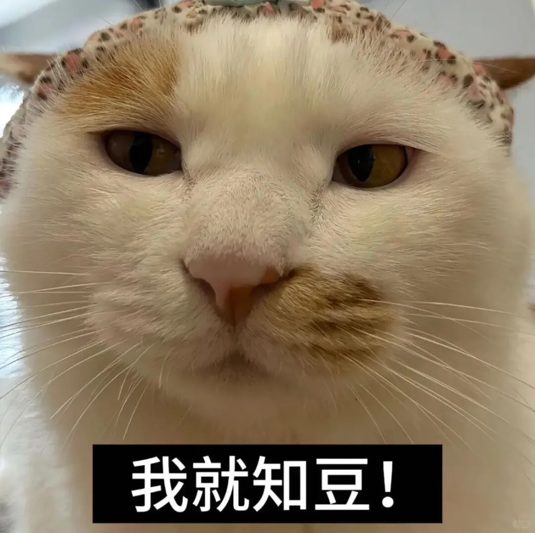 一股河南味的小猫表情包