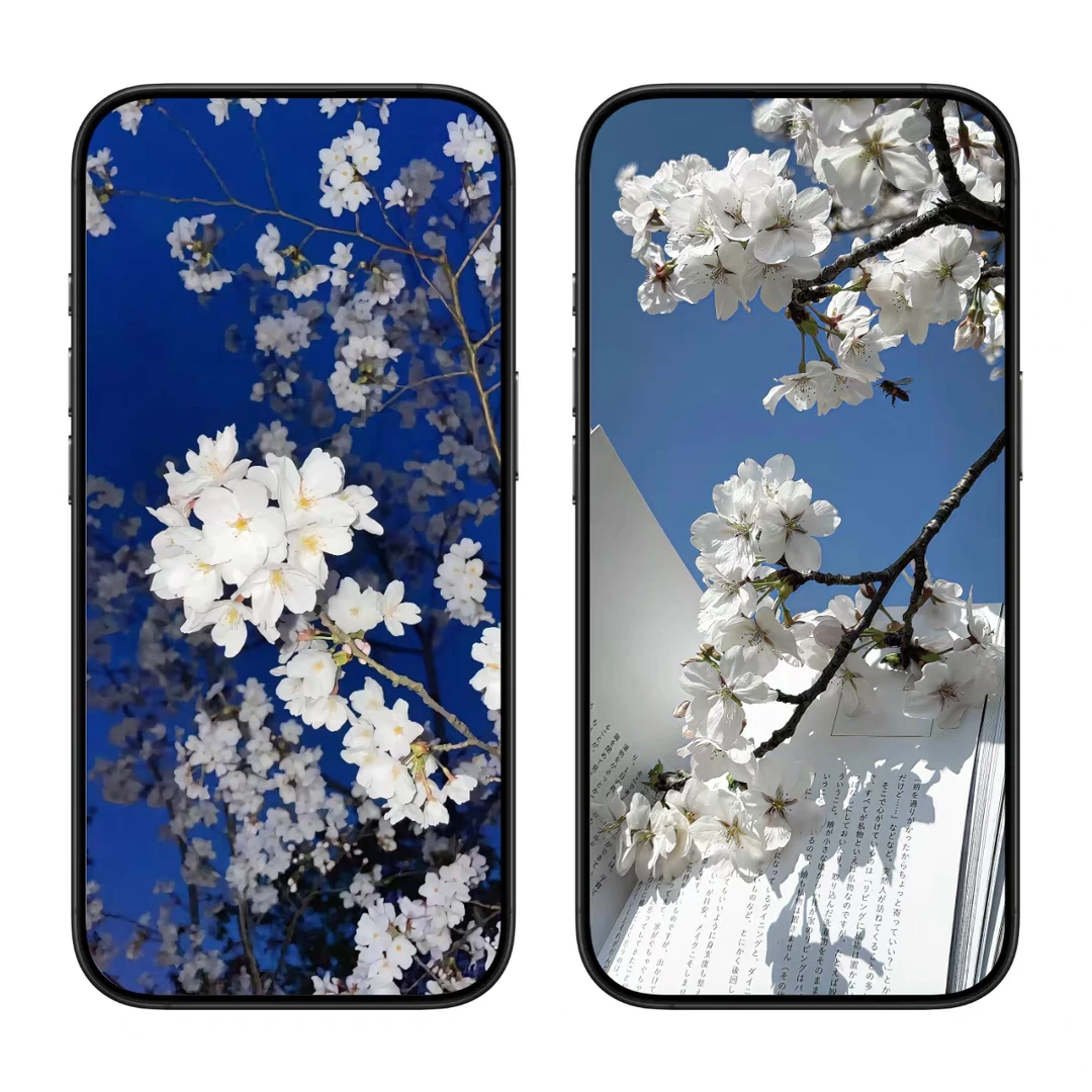 花树私语 立体3D景深、太美了！7