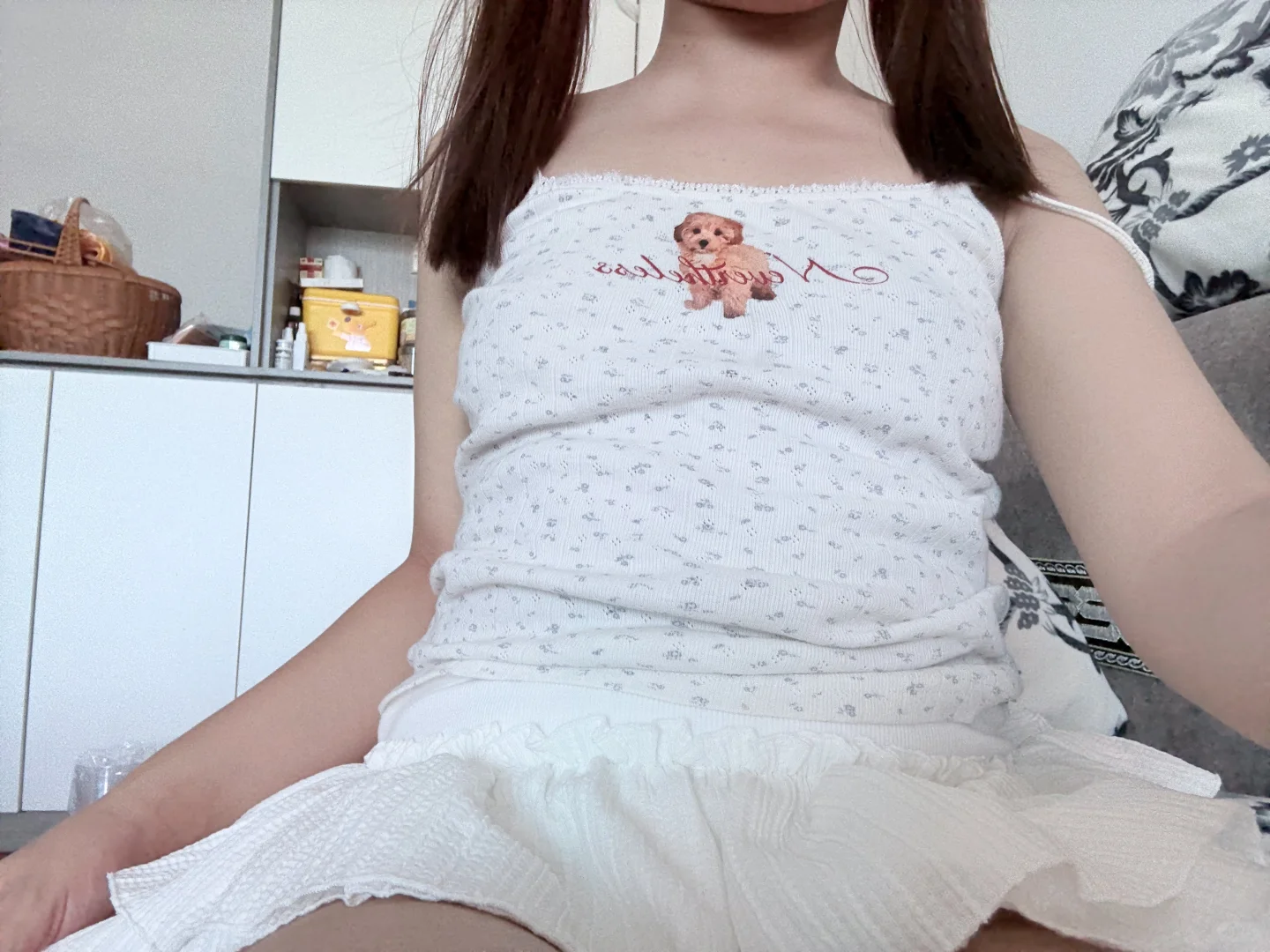 小泰迪