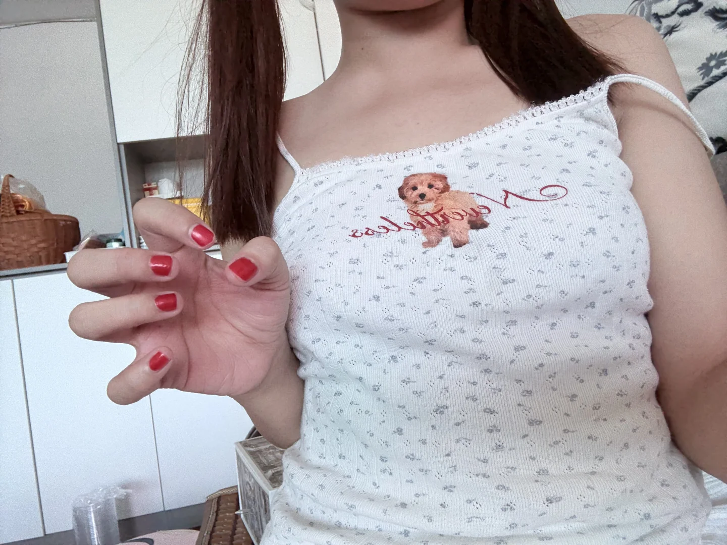 小泰迪