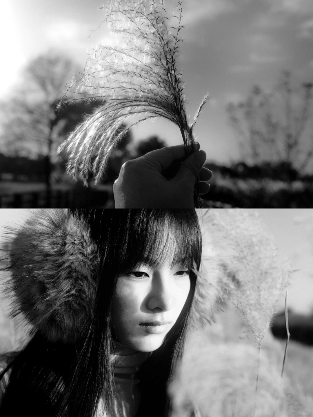 当我把照片按苍井优旅行写真排版
