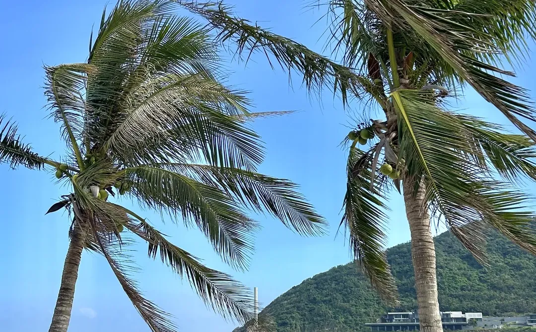 live｜三亚这片海美得不像在国内🌴☀️🌊