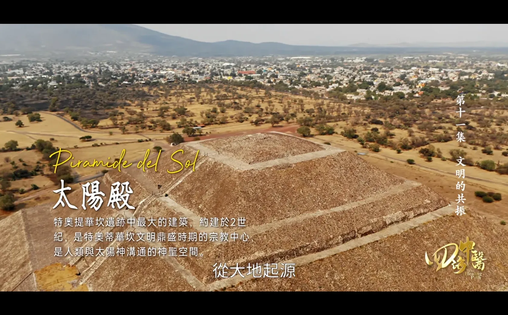 一部《四海中医》，带你看遍全球养生智慧！🌍✨