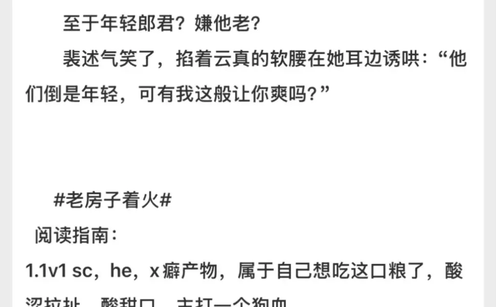 美艳人妻X年上封建大爹