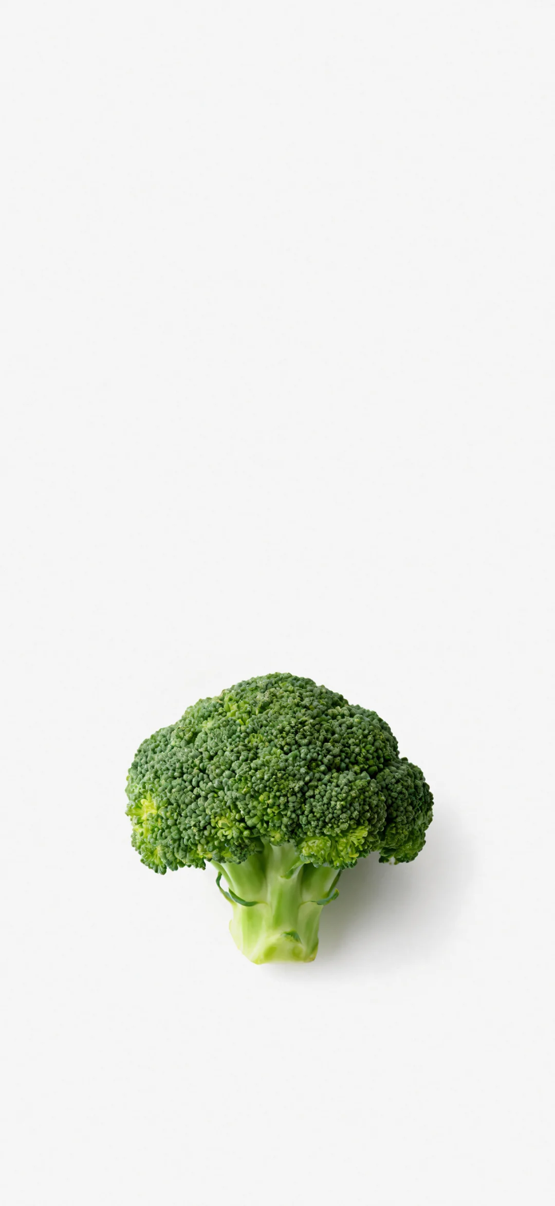 白底简约风食物篇｜小众壁纸