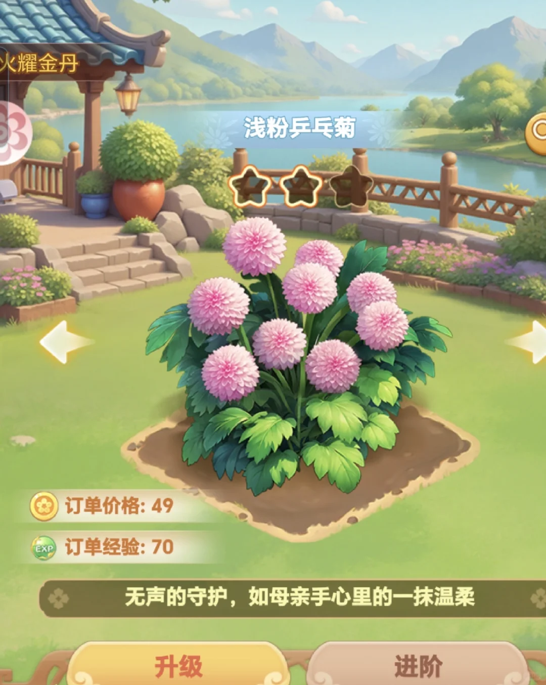 好爱这朵花🌼