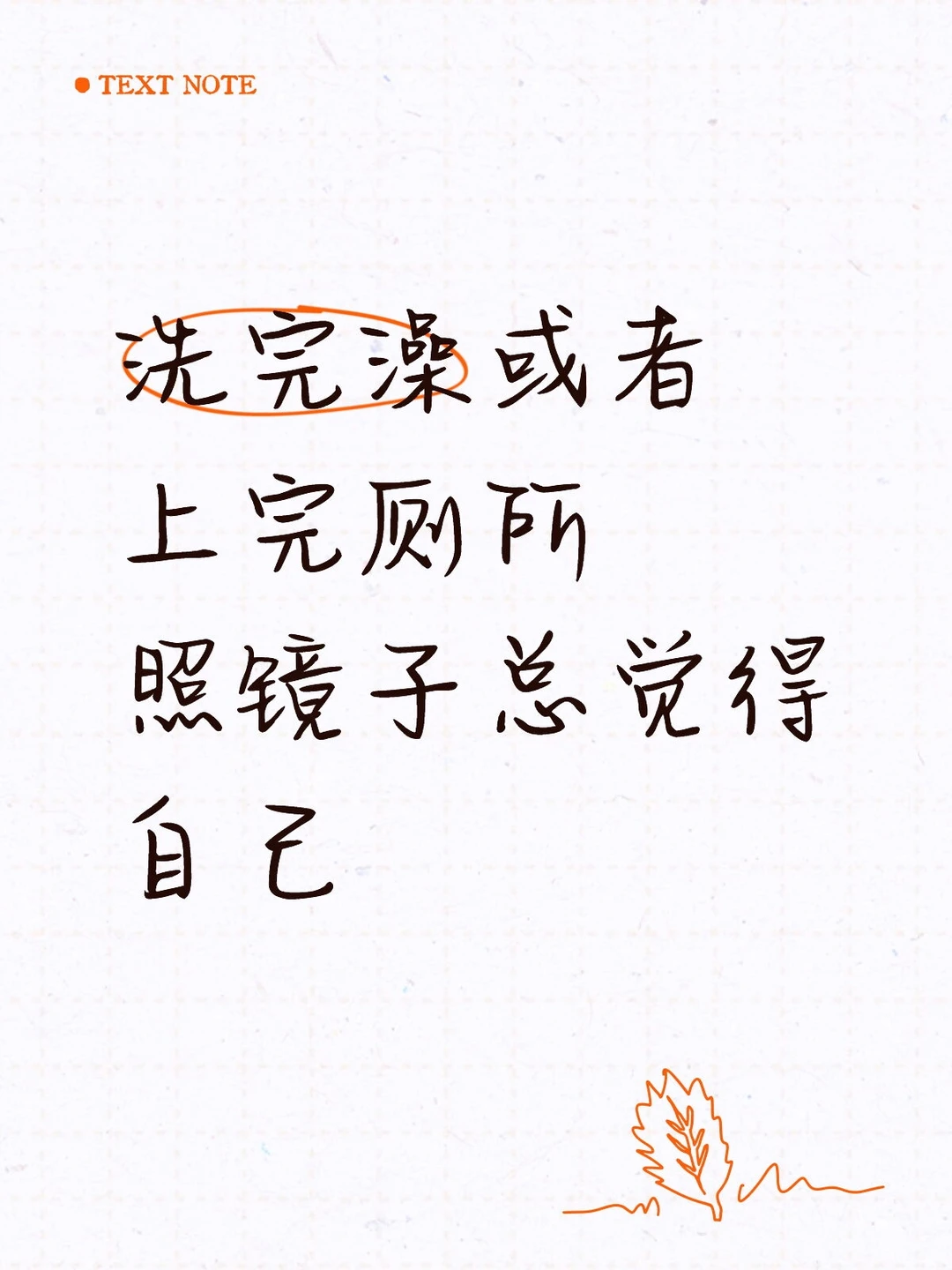 宝子我继续！