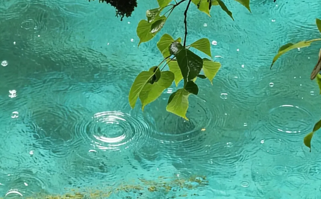 水是生命的源泉～欣赏水的魅力