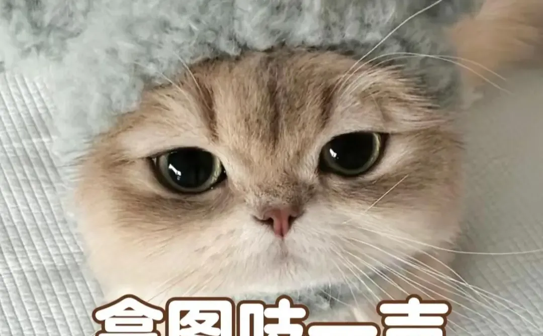 📱去晦气壁纸