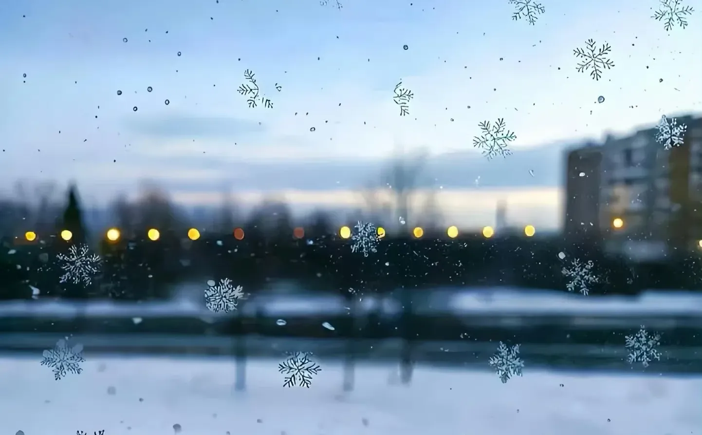 今天的雪，可以留在玻璃上❄️