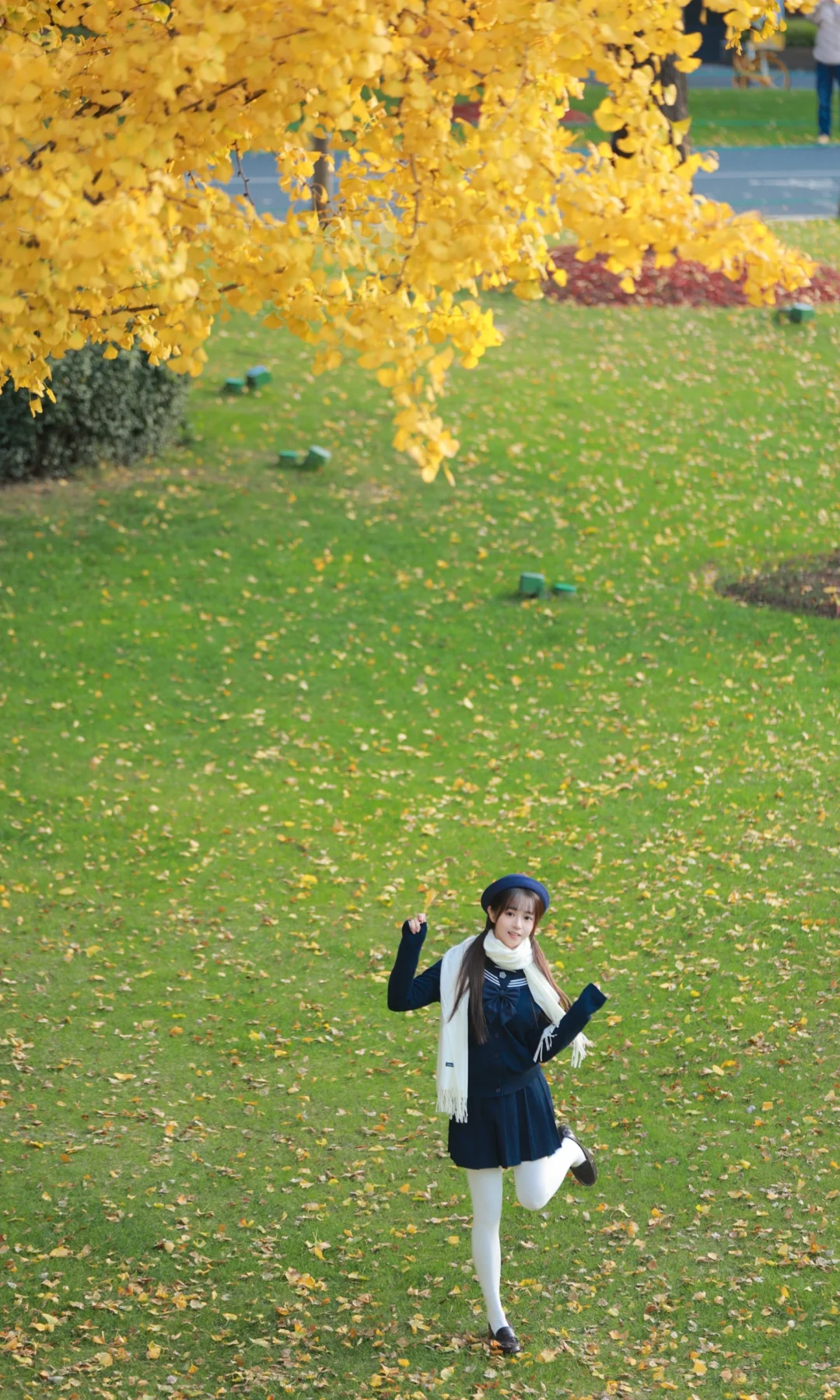 抓住秋天的尾巴，去拍银杏叶黄啦🍂