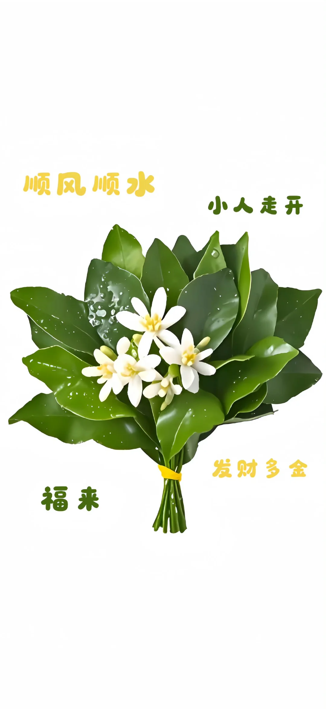 📱去晦气壁纸