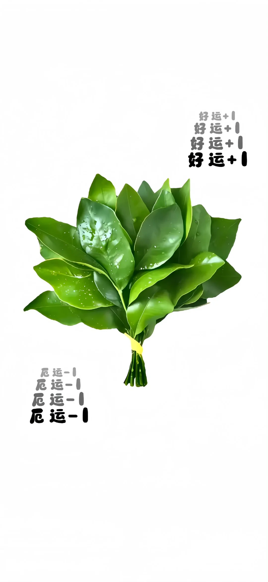 📱去晦气壁纸