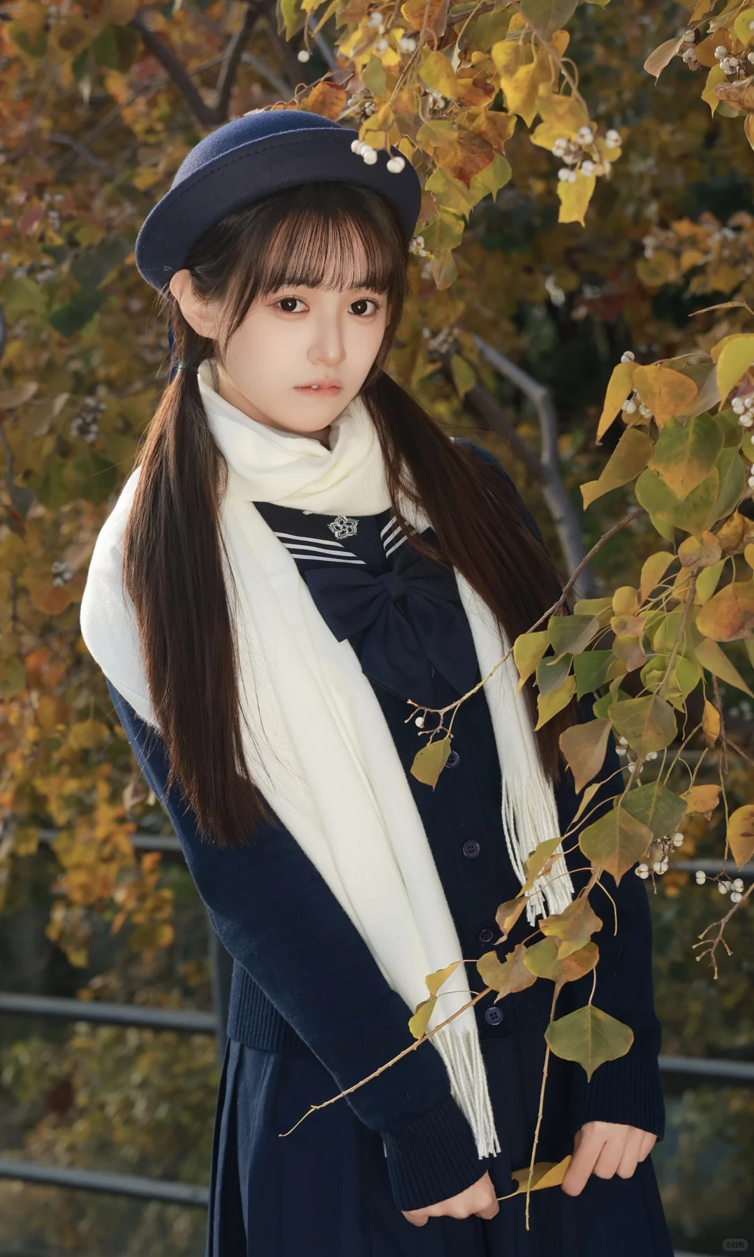 抓住秋天的尾巴，去拍银杏叶黄啦🍂